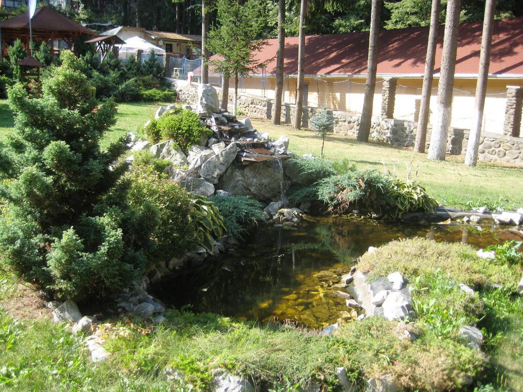 Pensiunea Speranta Hotel Sovata Exterior photo